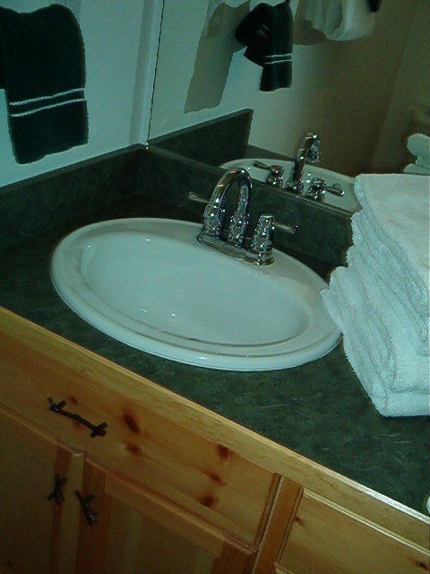 Click here to see more pictures of the guest bathroom.