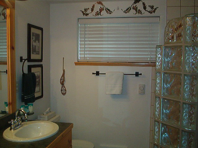 Click here to see more pictures of the master bathroom.